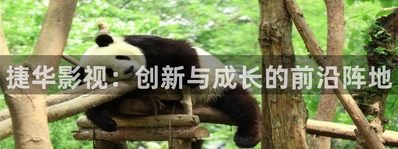 金牌影視電視劇在線觀看免費：捷華影視：創新與成長的前沿陣地