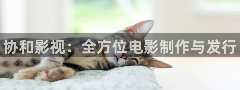金牌特勤隊(duì) 電影：協(xié)和影視：全方位電影制作與發(fā)行